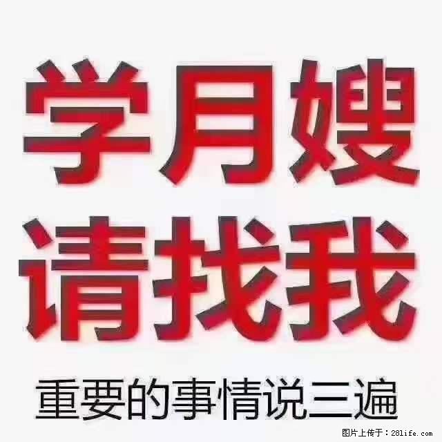 为什么要学习月嫂，育婴师？ - 其他广告 - 广告专区 - 延边分类信息 - 延边28生活网 yanbian.28life.net