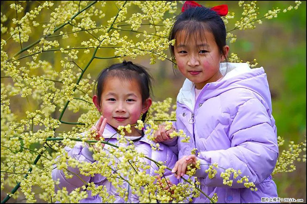 【春天，广西桂林灌阳县向您发出邀请！】米珠山前有片山苍子花在飘香 - 游山玩水 - 延边生活社区 - 延边28生活网 yanbian.28life.net