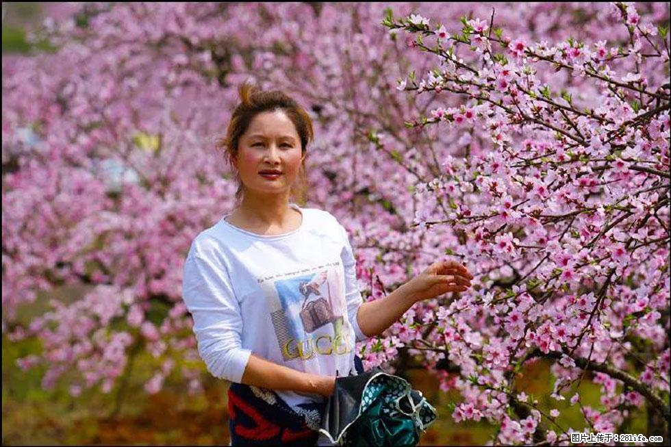 【春天，广西桂林灌阳县向您发出邀请！】官庄村有个醉美的桃花园 - 游山玩水 - 延边生活社区 - 延边28生活网 yanbian.28life.net