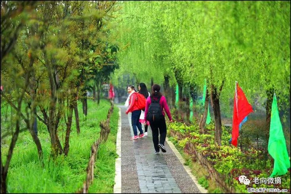 【春天，广西桂林灌阳县向您发出邀请！】江口老街又逢春 - 游山玩水 - 延边生活社区 - 延边28生活网 yanbian.28life.net