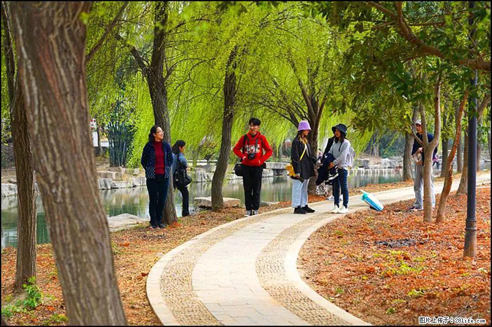 【春天，广西桂林灌阳县向您发出邀请！】江口老街又逢春 - 游山玩水 - 延边生活社区 - 延边28生活网 yanbian.28life.net