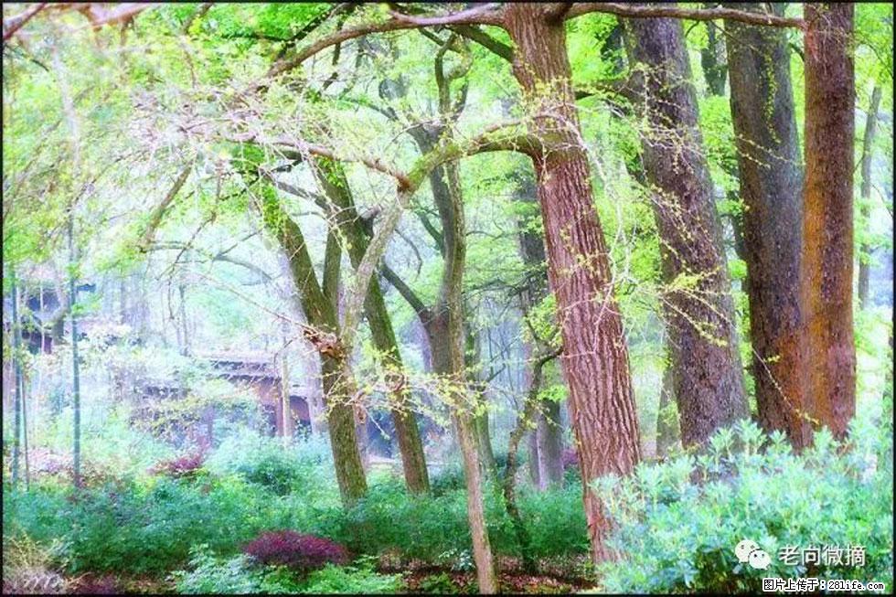【春天，广西桂林灌阳县向您发出邀请！】在小龙村与春天约会 - 游山玩水 - 延边生活社区 - 延边28生活网 yanbian.28life.net