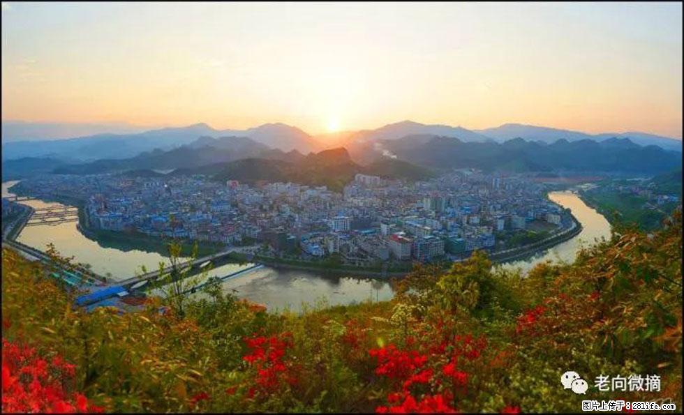 【春天，广西桂林灌阳县向您发出邀请！】登麒麟山，相约映山红 - 游山玩水 - 延边生活社区 - 延边28生活网 yanbian.28life.net