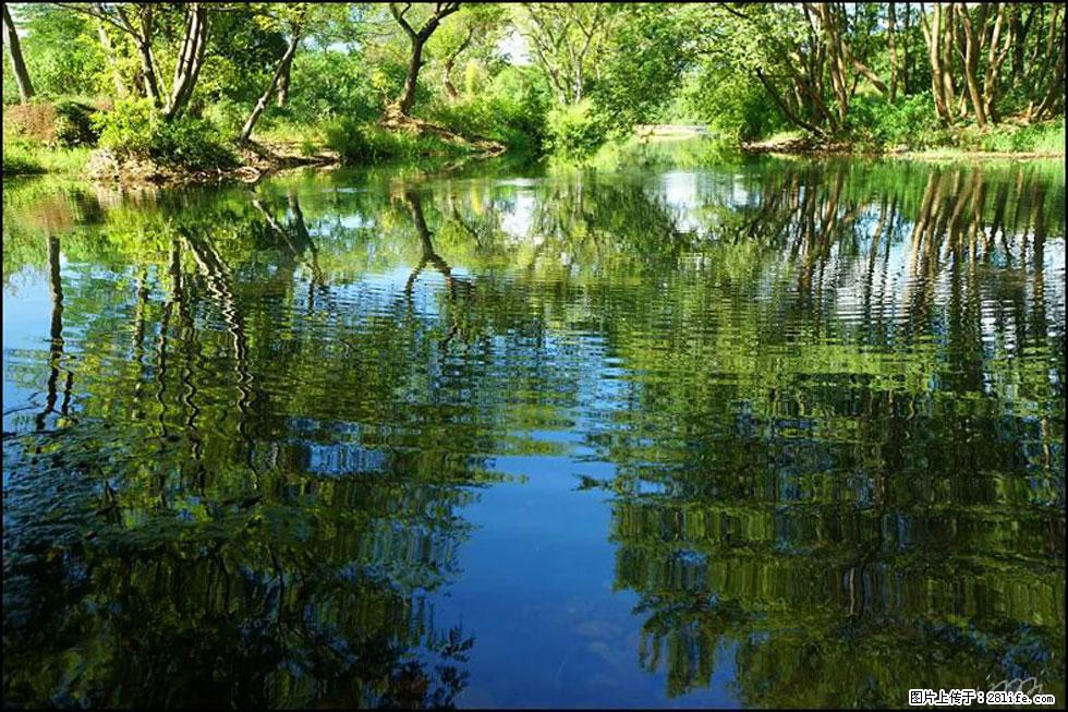 【春天，广西桂林灌阳县向您发出邀请！】熊家寨湿地公园 - 游山玩水 - 延边生活社区 - 延边28生活网 yanbian.28life.net