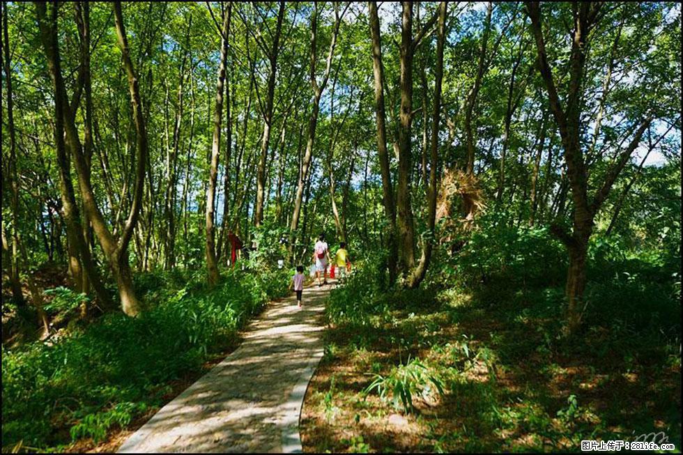【春天，广西桂林灌阳县向您发出邀请！】熊家寨湿地公园 - 游山玩水 - 延边生活社区 - 延边28生活网 yanbian.28life.net