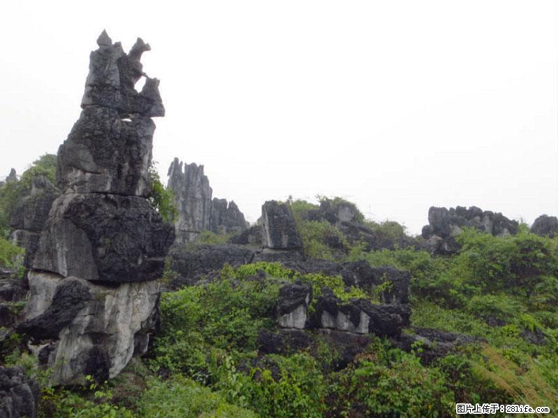 桂林旅游名城景点：灌阳文市石林 - 游山玩水 - 延边生活社区 - 延边28生活网 yanbian.28life.net