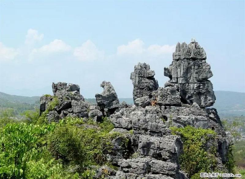 桂林旅游名城景点：灌阳文市石林 - 游山玩水 - 延边生活社区 - 延边28生活网 yanbian.28life.net