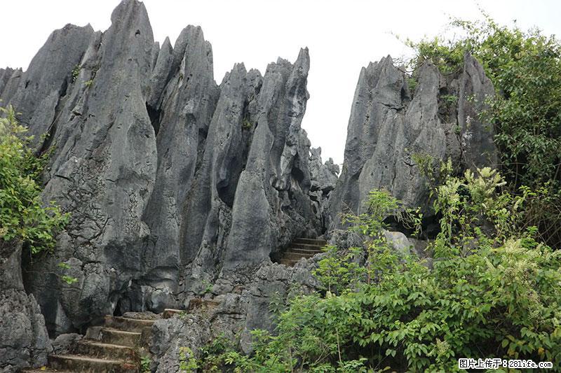 桂林旅游名城景点：灌阳文市石林 - 游山玩水 - 延边生活社区 - 延边28生活网 yanbian.28life.net