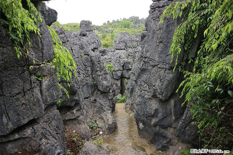 桂林旅游名城景点：灌阳文市石林 - 游山玩水 - 延边生活社区 - 延边28生活网 yanbian.28life.net