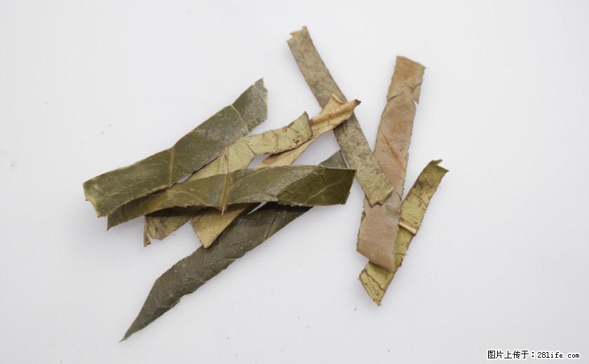 苦丁茶有哪些功效和作用 - 生活百科 - 延边生活社区 - 延边28生活网 yanbian.28life.net