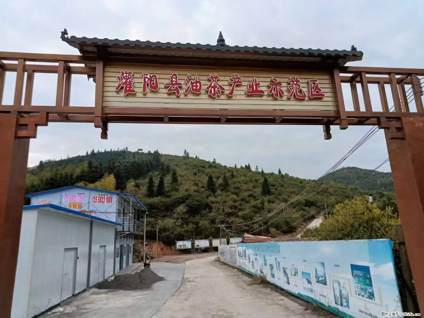 【灌阳县油茶产业示范区】一个有着充实的精神生活的人，对待身外之物自会有一种淡泊的态度 - 土特产 - 饮食特产 - 延边分类信息 - 延边28生活网 yanbian.28life.net