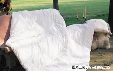 被子有异味？只要这样做，比晒太阳还强100倍！ - 家居生活 - 延边生活社区 - 延边28生活网 yanbian.28life.net