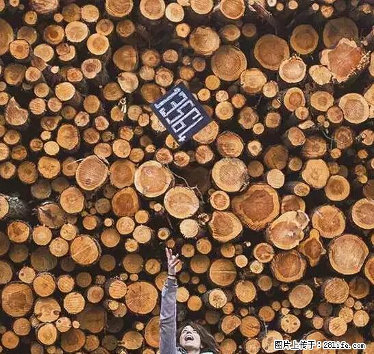 辞掉工作周游世界？现在他们在洗厕所…… - 游山玩水 - 延边生活社区 - 延边28生活网 yanbian.28life.net
