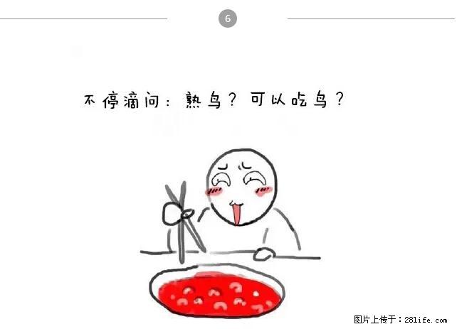 千万不要和这9种哈卵一起吃火锅！ - 美食天地 - 延边生活社区 - 延边28生活网 yanbian.28life.net