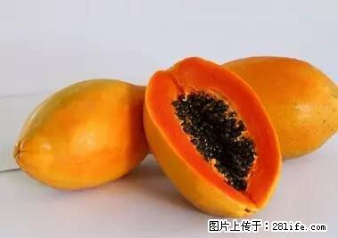 晕车、脚气、牙齿变黄、皮肤粗糙？学会这些三分钟搞定！ - 延边生活资讯 - 延边28生活网 yanbian.28life.net