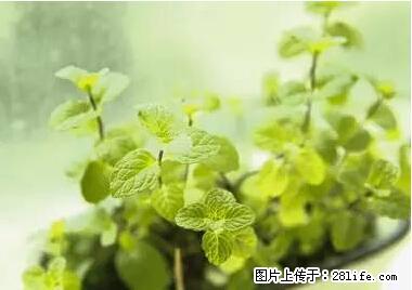 晕车、脚气、牙齿变黄、皮肤粗糙？学会这些三分钟搞定！ - 延边生活资讯 - 延边28生活网 yanbian.28life.net