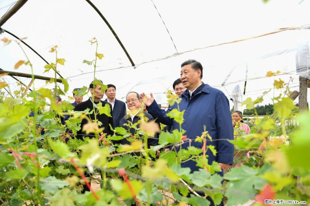 习近平赴广西考察调研 - 延边生活资讯 - 延边28生活网 yanbian.28life.net