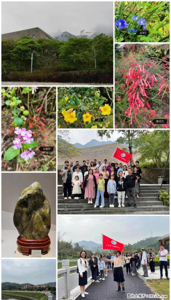 “粤灌文化 美好生活”油茶文化主题活动在广东深圳成功举办 - 延边生活资讯 - 延边28生活网 yanbian.28life.net