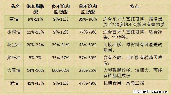 揭秘茶油的5大核心营养成分！被称为人体健康的“守护盾”！ - 延边生活资讯 - 延边28生活网 yanbian.28life.net