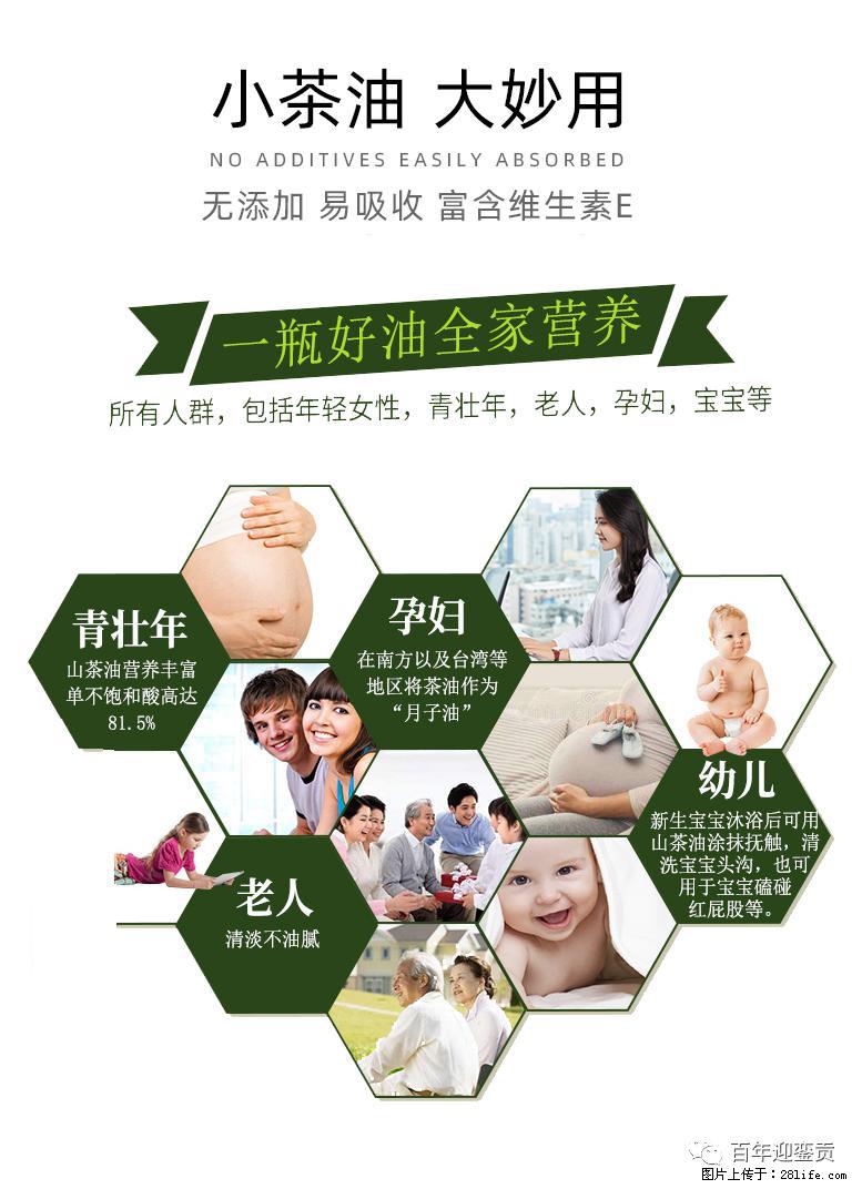 世界没有真相，只有认知，最好的食用油是中国的山茶油！ - 延边生活资讯 - 延边28生活网 yanbian.28life.net