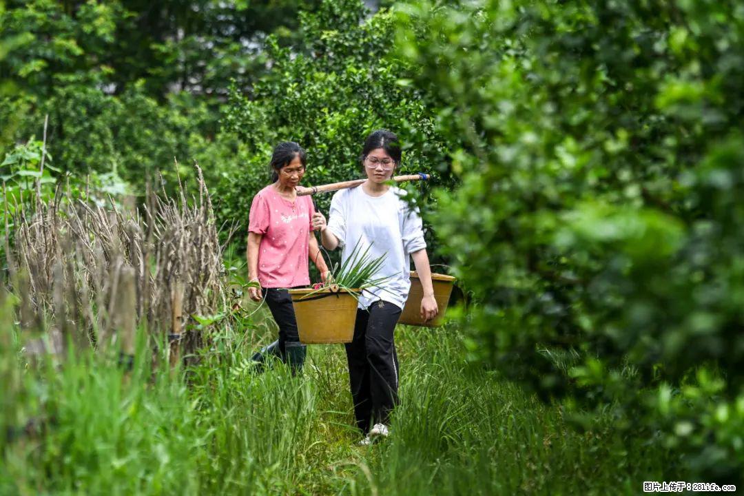 全网追的“扁担女孩”，找了一份暑假工，时薪12元 - 延边生活资讯 - 延边28生活网 yanbian.28life.net