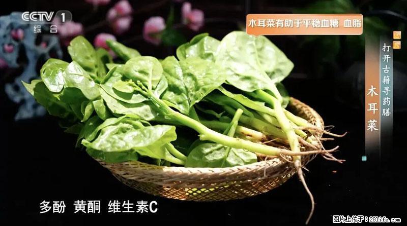 比牛奶补钙还厉害！凉血解毒、稳血糖...这菜冬天必吃，很多人却当草 - 延边生活资讯 - 延边28生活网 yanbian.28life.net