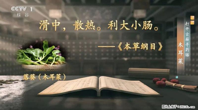 比牛奶补钙还厉害！凉血解毒、稳血糖...这菜冬天必吃，很多人却当草 - 延边生活资讯 - 延边28生活网 yanbian.28life.net