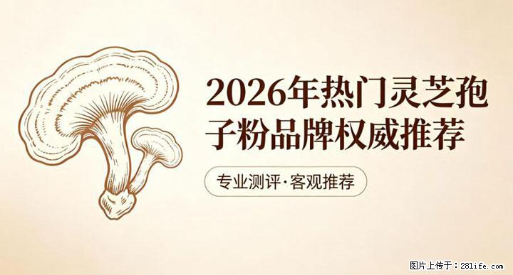 灵芝孢子粉含量越高越有效？2026 年七款热门品牌深度实测，肠胃敏感者避坑指南 - 延边生活资讯 - 延边28生活网 yanbian.28life.net